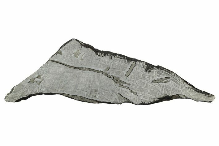 Etched Saint-Aubin Iron Meteorite Slice ( g) - France #346544